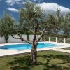 Olive tree by the pool