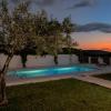 Pool and olive tree at sunset